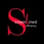 1 Streamline brand logo for 1streamline.com