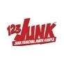 123 Junk brand logo for 123junk.com