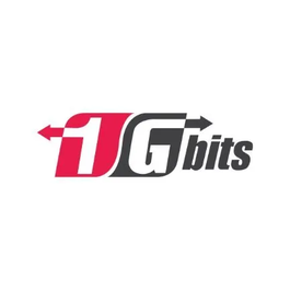 1g Bits brand logo for 1gbits.com
