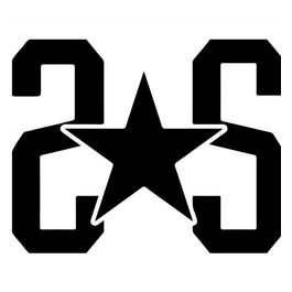 2Star brand logo for 2star.it