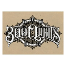 300 Quibits brand logo for 300qubits.com