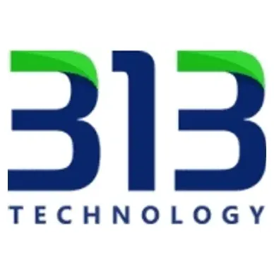 313 Technology brand logo for 313technology.com