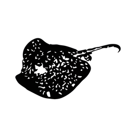 A Cuckoo Moment brand logo for a-cuckoo-moment.com