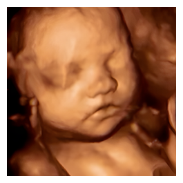 A Stork's View brand logo for astorksview.com