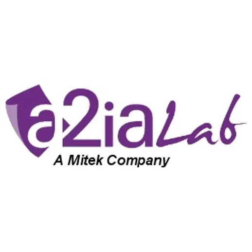 A2I Lab brand logo for a2ialab.com