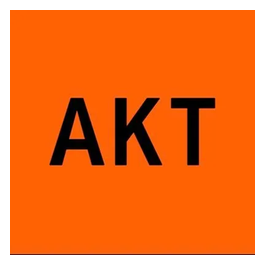 AKT London brand logo for aktlondon.com