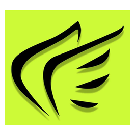 Active Faith Sports brand logo for activefaithsports.com