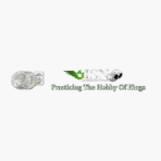 Isn Modern Coins brand logo for isncoins.us