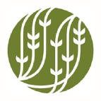 Palais des Thes brand logo for us.palaisdesthes.com