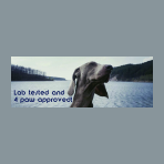 Pawsible Love brand logo for pawsiblelove.com
