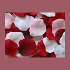 Petal Garden brand logo for store.petalgarden.com