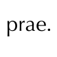 Prae Store brand logo for prae-store.com