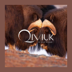 Qiviuk Boutique brand logo for qiviuk.com