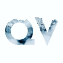 Quanta Vici brand logo for quantavici.com