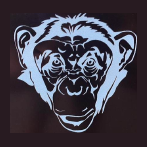 Reefmonkey brand logo for reefmonkey.com