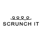 Scrunch It brand logo for scrunchitcurls.com