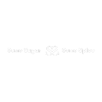 Some Sugar Some Spice brand logo for somesugarsomespice.com
