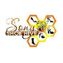 Sony B's Shoe Hive brand logo for sonybs.com