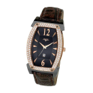 Swisstek Watches brand logo for swisstekwatches.com