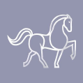 Sylvia Kerr Jewellery brand logo for sylviakerrjewellery.com