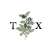 Tea Xotics brand logo for teaxotics.com