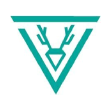 The Beard Shed brand logo for thebeardshed.co.uk