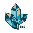 The Rising States brand logo for therisingstatesnyc.com