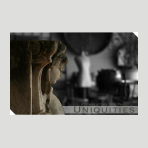 Uniquities brand logo for uniquities.ca