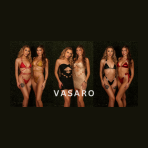 Vasaro brand logo for vasaro.com