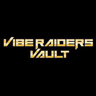 Viberaider brand logo for viberaidersvault.com