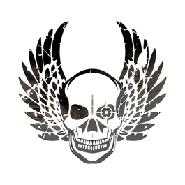 Alpha Nation brand logo for alphanation.com