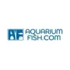 Aquarium Fish Sale brand logo for aquariumfishsale.com