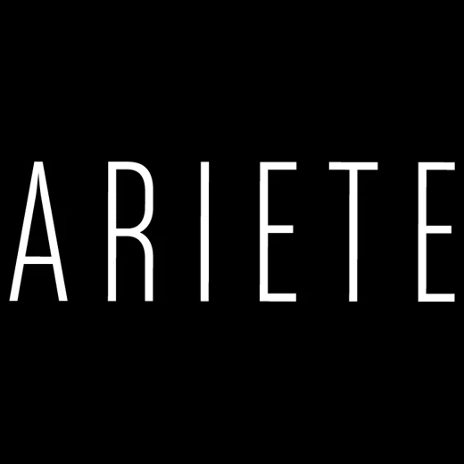 Ariete Coconut Grove brand logo for arietecoconutgrove.com