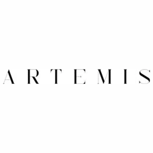 Artemis Home brand logo for artemis-home.com
