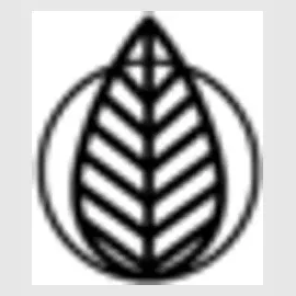 Artiplanto brand logo for artiplanto.com