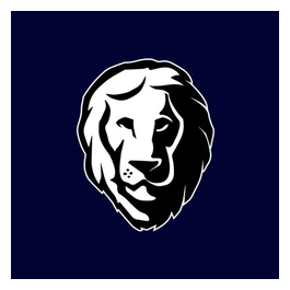Aslan Mattress brand logo for aslanmattress.com