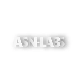ASN-Labs brand logo for asn-labs.com