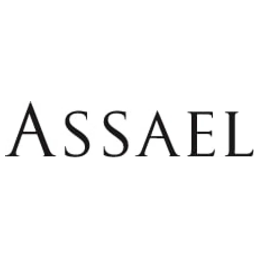 Assael brand logo for assael.com