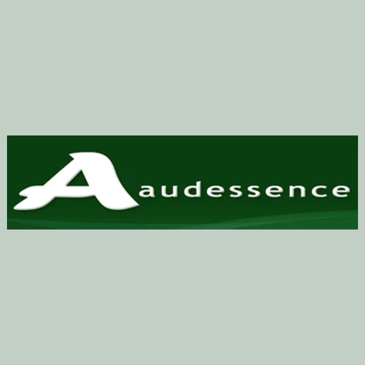 Audessence brand logo for audessence.com