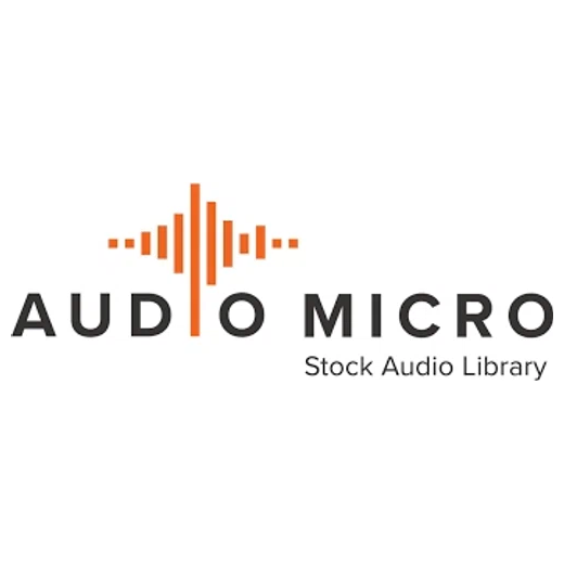 AudioMicro brand logo for audiomicro.com