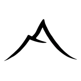 AV Venice brand logo for avvenice.com