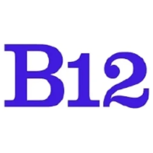 B12 brand logo for b12.io