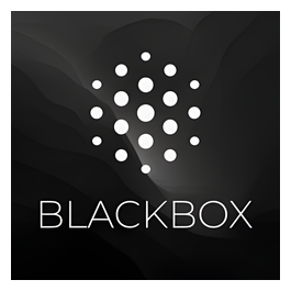 Blackbox brand logo for blackbox.ai