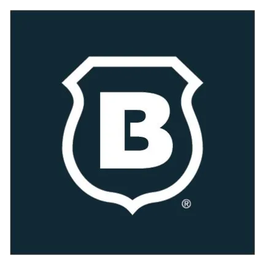 Brinks Home brand logo for brinkshome.com