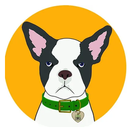 CBD Dog Health brand logo for cbddoghealth.com