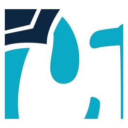 College Insights brand logo for collegeinsights.com