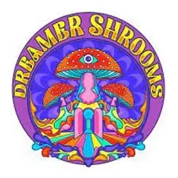 Dreamer Shrooms brand logo for dreamershrooms.com