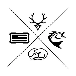 Evolution Outdoor brand logo for evolutionoutdoor.com