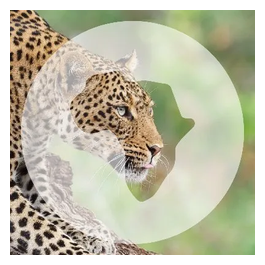 Go2Africa brand logo for go2africa.com