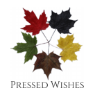 pressedwishes brand logo for pressedwishes.ca